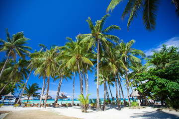tropical sunny beach in beautiful exotic resort