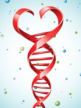 Vector Illustration Of A DNA Strand In A Shape Of A Heart