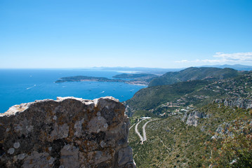 Tete de chien