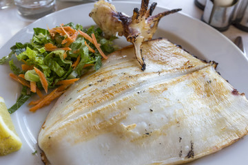 Tintenfisch vom Grill mit Beilagen, Griechenland