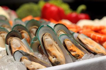 New Zealand mussels and ice