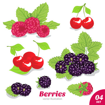 Set of raspberry, cherry and blackberry