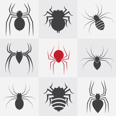 Set of vector spider icons