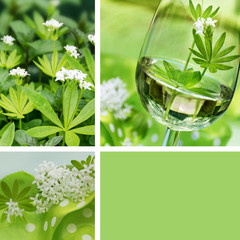 Waldmeister