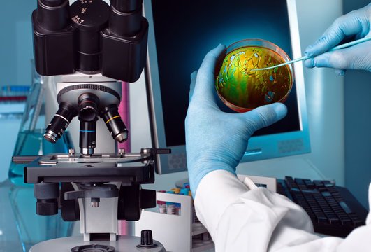 scientist working at the laboratory