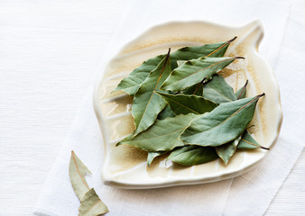 Bay leaves on plate over light background