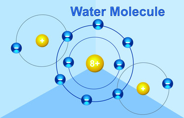 Water molecule