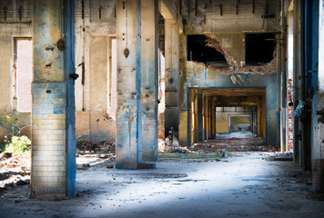 Fototapeta na wymiar budynek przemysłowy w ruinie