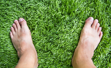 Beautiful green grass pattern