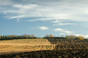 Autumn half-plowed field