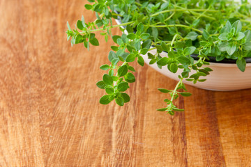 Thyme herb on wooden cutting board.