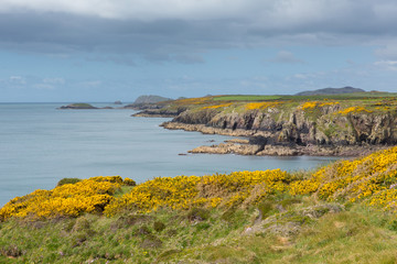 Welsh coast Pembrokeshire near St Davids