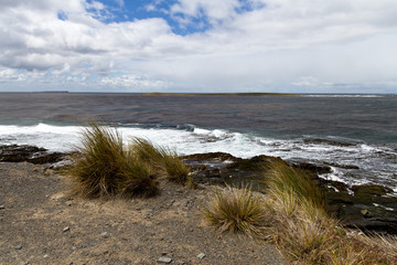 Falkland Island Coastline