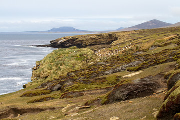 Coastline Falkland Islands