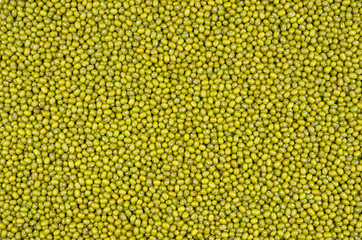  Mungobohnen Hintergrund