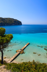 Beach pine trees sea bay mountains, Camp de Mar, Majorca