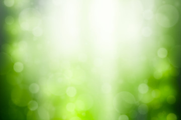 Obraz premium Green Background