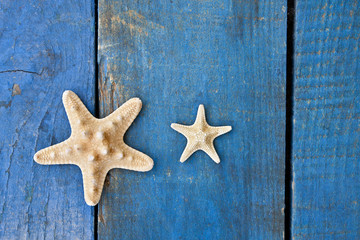 estrellas de mar sobre madera azul