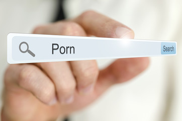 Word Porn written in search bar