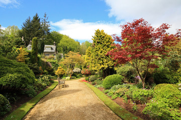 Fototapeta na wymiar Beautiful spring garden