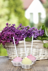 Pastel colors cake pops on wooden table. Fresh lilac flowers in