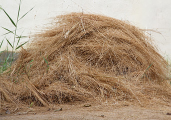 Hay pile