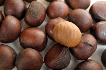 chestnuts