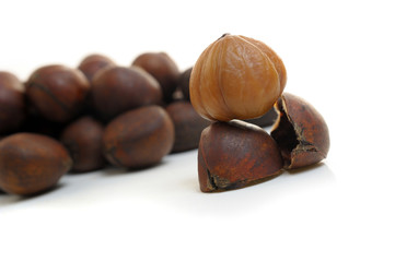 chestnut