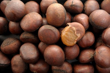chestnut