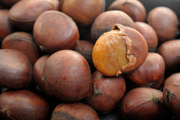 chestnut
