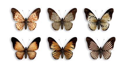 a series of butterflies with wings animal skin - obrazy, fototapety, plakaty