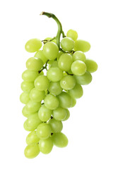 Bunch of Grapes