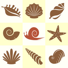 Vector collection of sea shells and snail