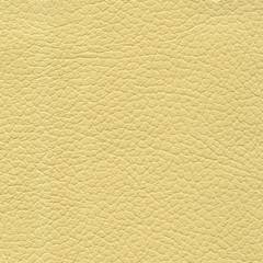 Leather texture