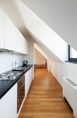 Interior, beautiful loft, hardwood floor, modern kitchen