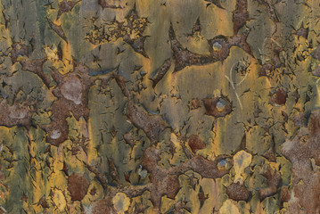old metal texture