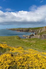 Fotobehang Pembrokeshire National Park coast Wales © acceleratorhams