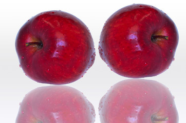 apples on reflective