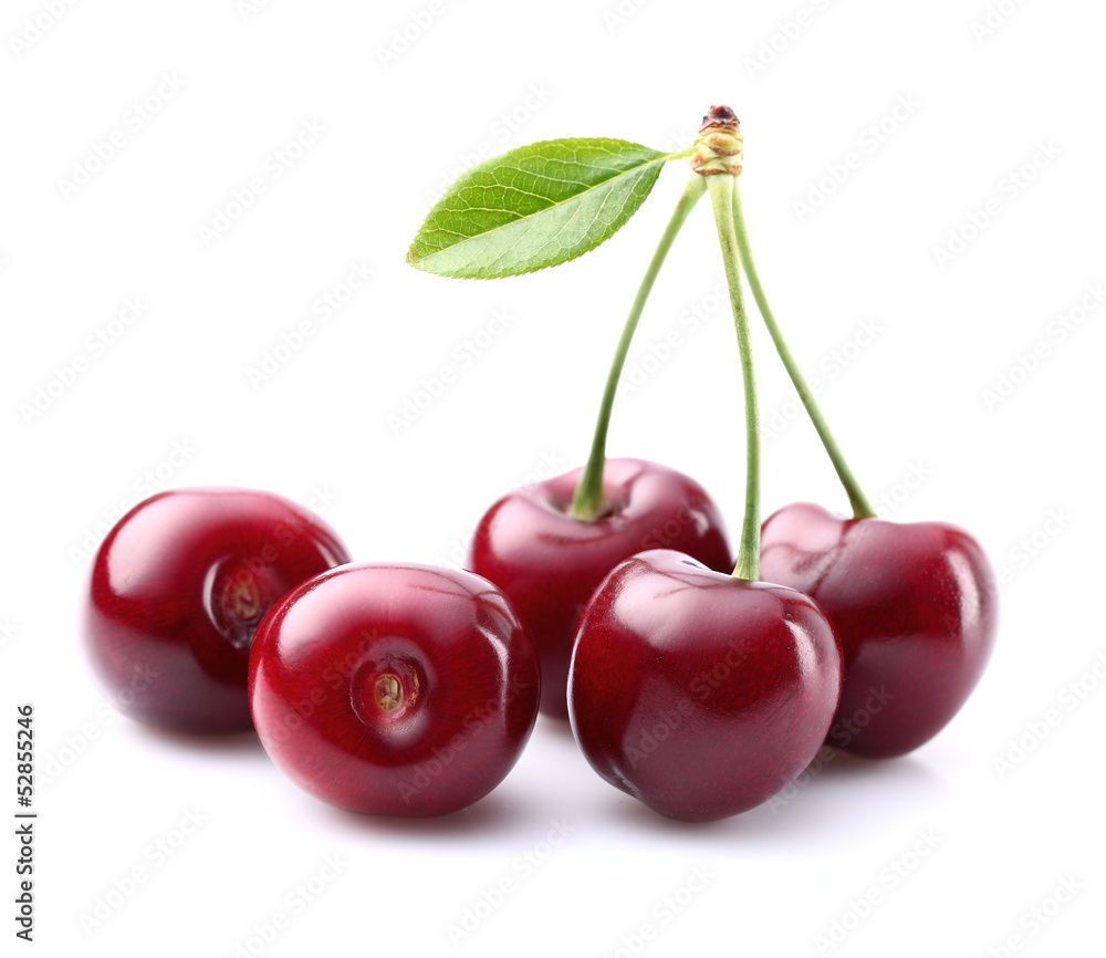 Canvas Prints cherry with leaf