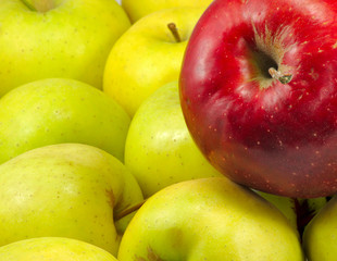 apples