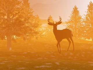 Burk shadow - 3D render