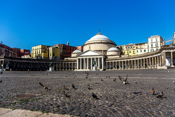 Pigeons near San Francesko Paola, Piazza del Plebiscito, Naples