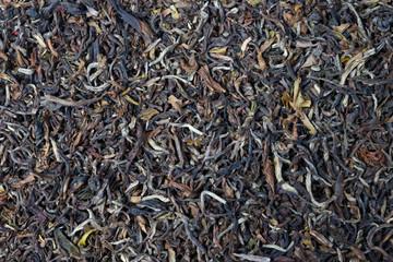 Indian black tea