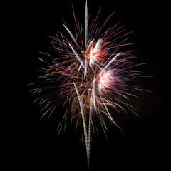 Fireworks in the night sky