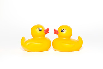 Two ducks facing eachother