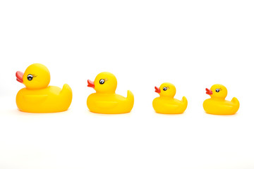 Four ducks in a line