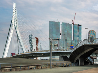 Fototapeta premium Erasmus bridge and architecture in Rotterdam
