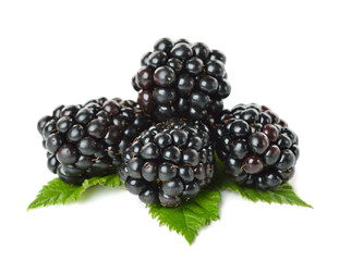 Blackberries isolated on white background