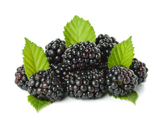 Blackberries isolated on white background