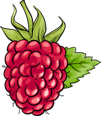 raspberry fruit cartoon illustration